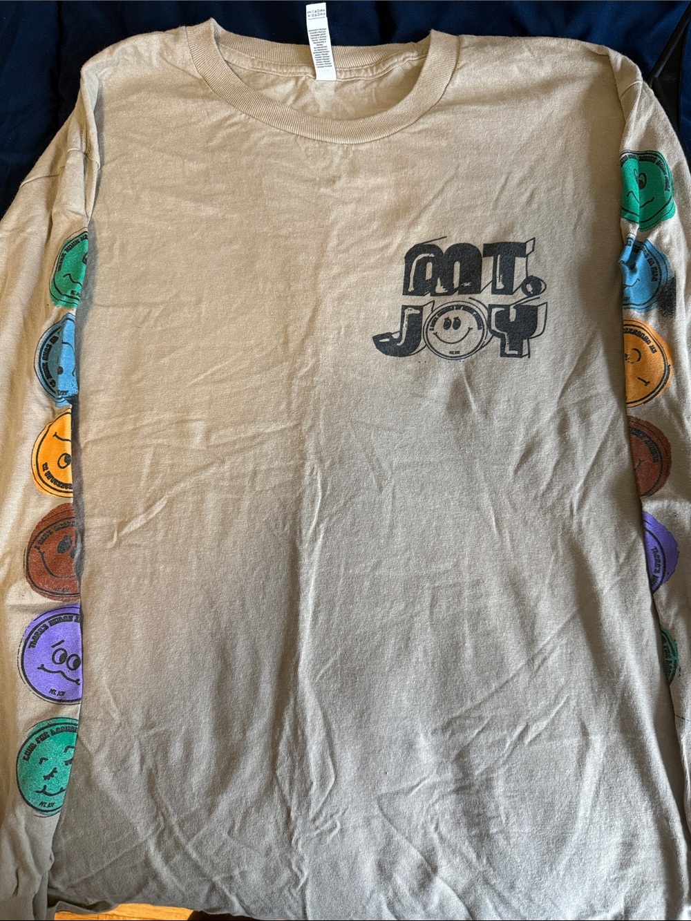 Mt. Joy Concert Merch Beige Long-Sleeve Graphic Tee